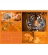 Wall Calendar Colorful Nature