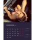 Calendar Girls with Cars