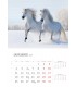 Wall Calendar White