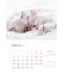 Wall Calendar White