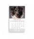 Pasta calendar